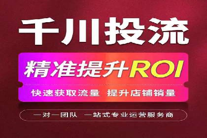 百度网络推广实战技巧：案例解析，让广告投放更精准